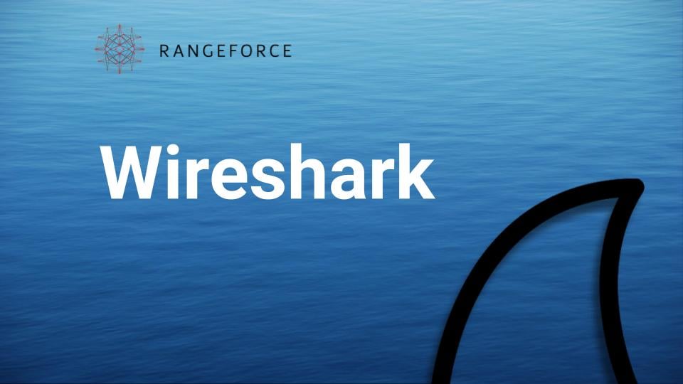 Use WireShark to dive deep into your network traffic